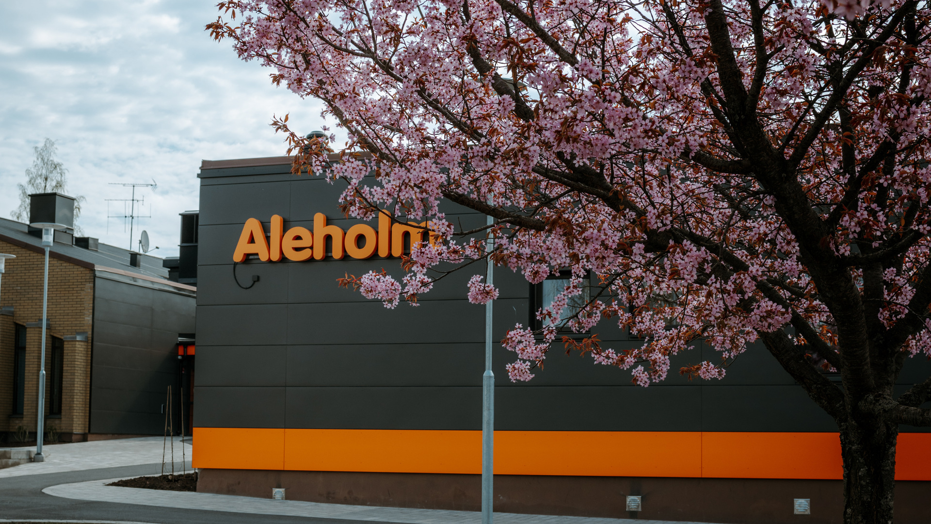 Aleholmsskolans nya entré med ljusskylt på väggen. Blommande träd i förgrunden.