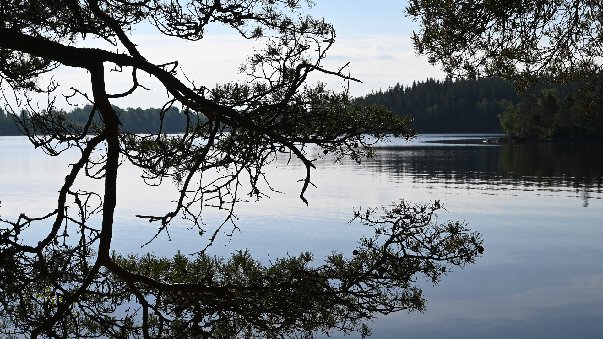 Bilden visar en sjö