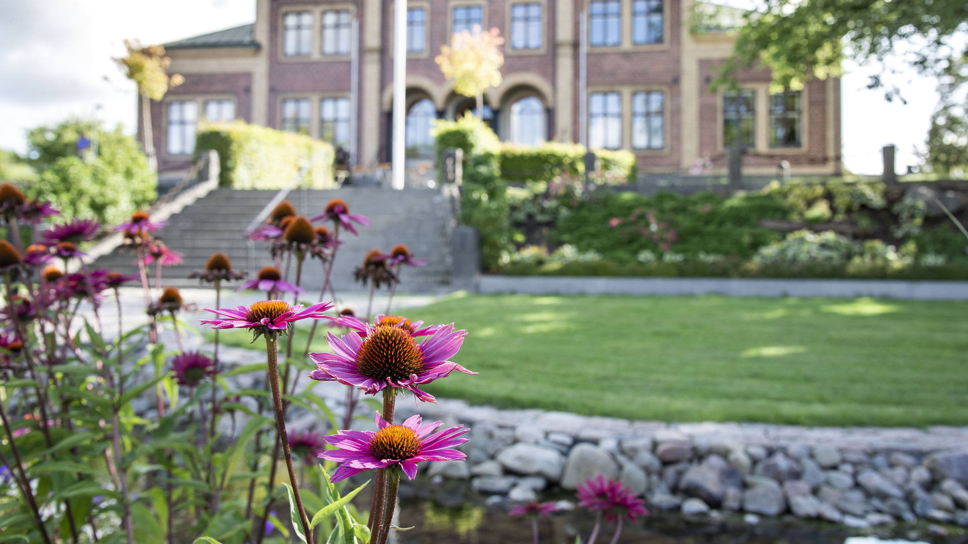 Kommunalhuset i Sävsjö med rosa blommor i förgrunden