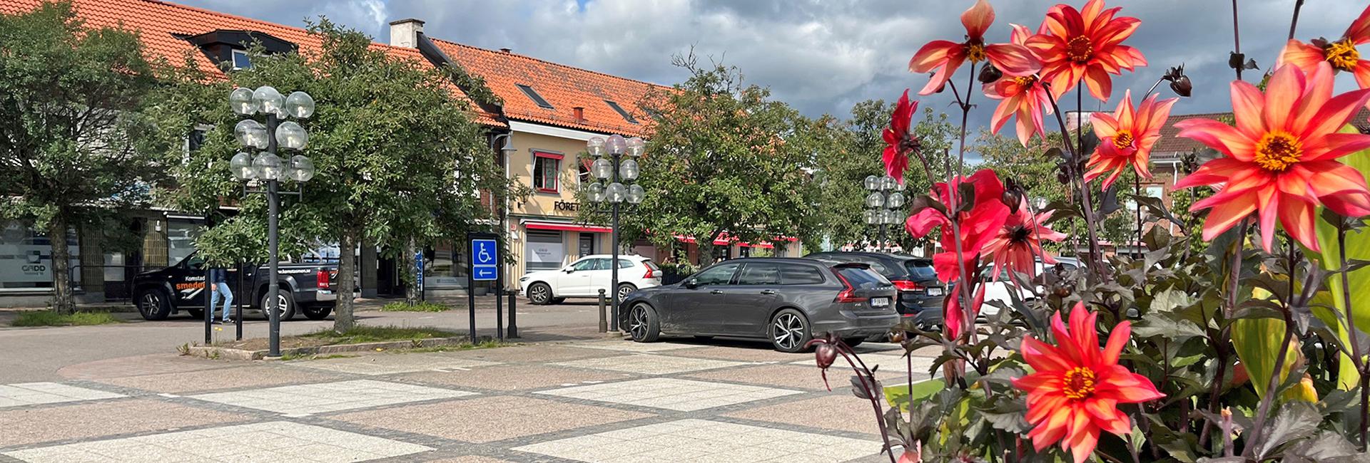 Stora torget i Sävsjö, sommarblommor