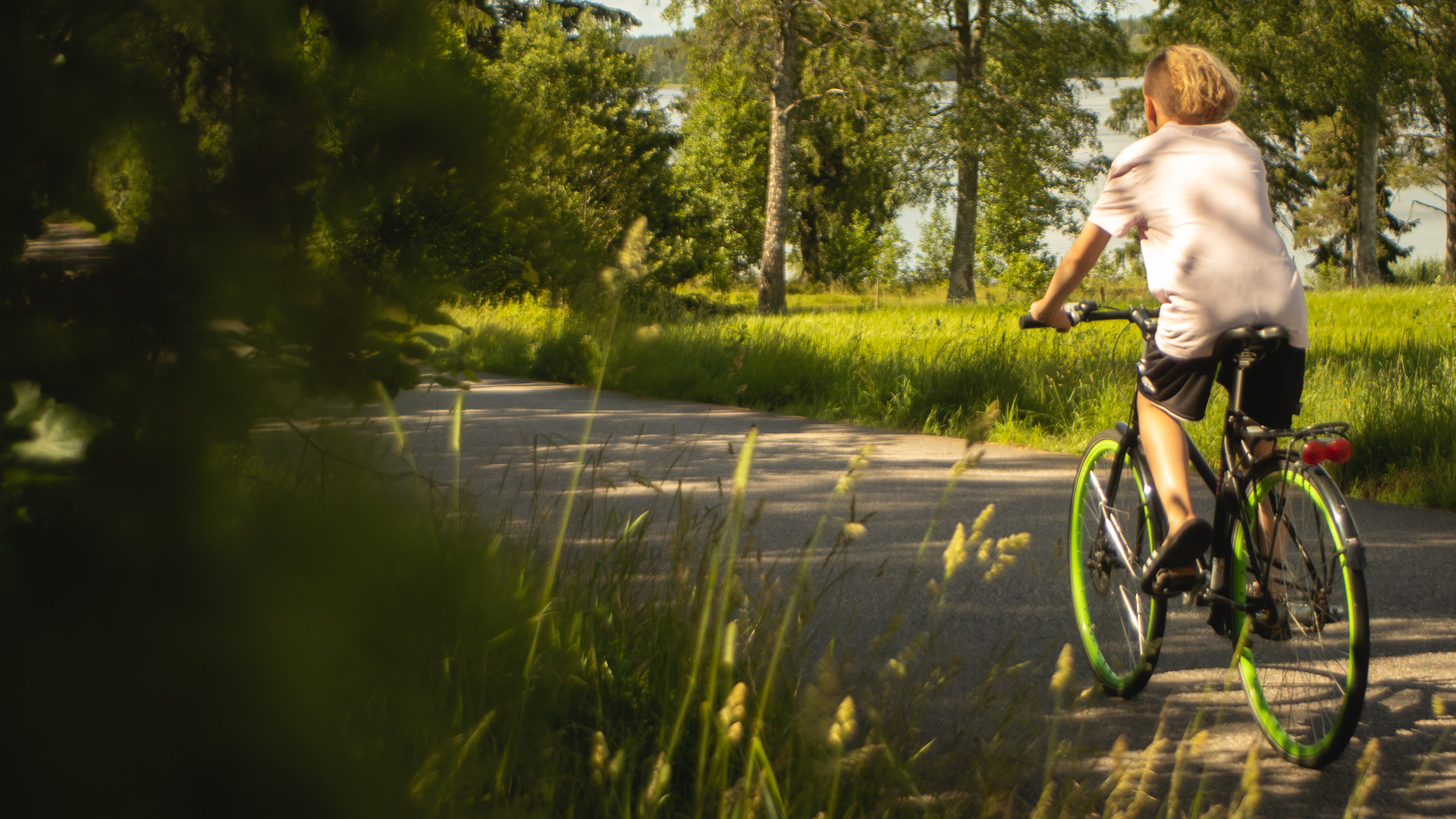 Person cyklar på grusväg. Grönskande sommar.