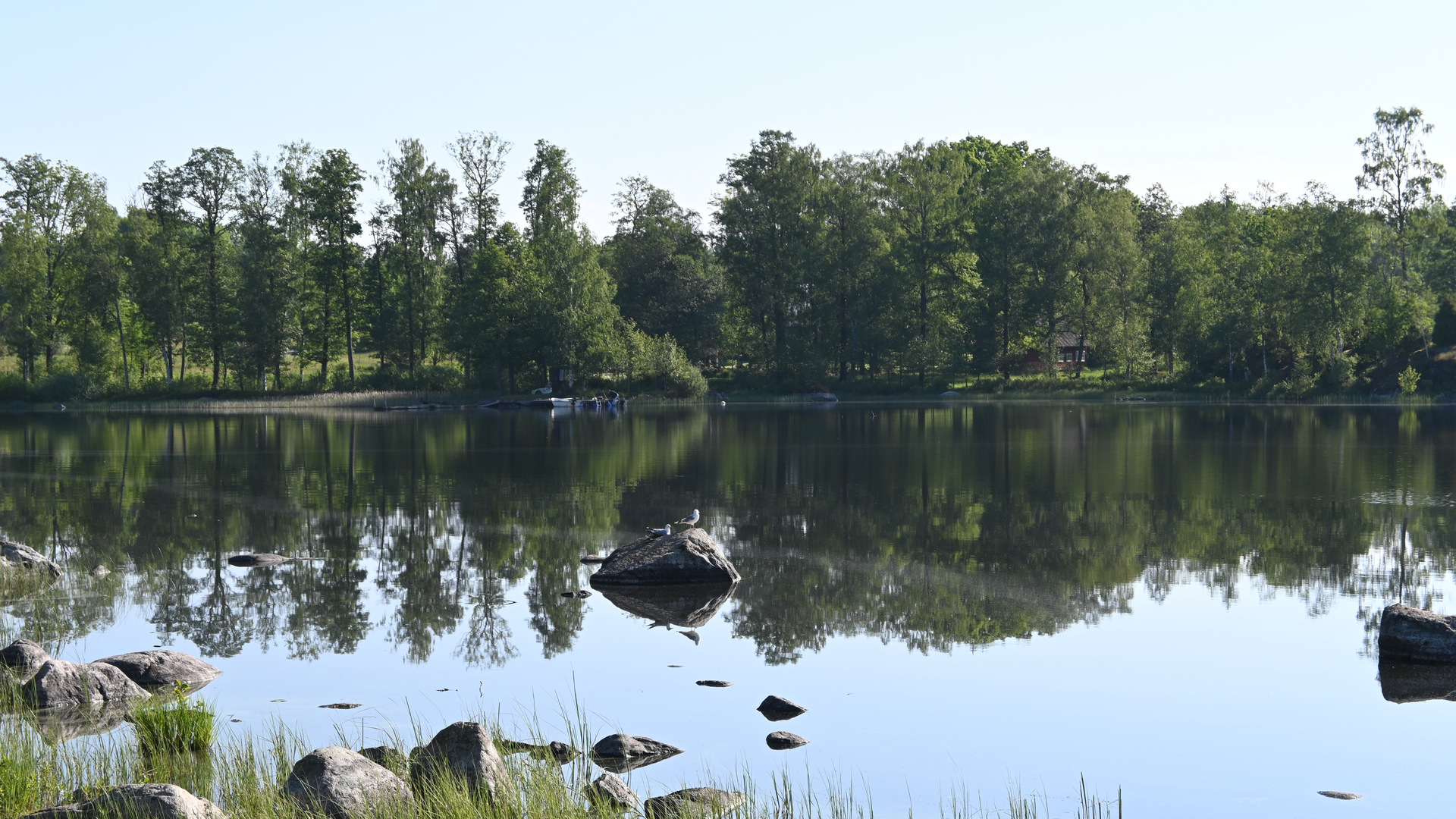 Strandkant vid sjö.