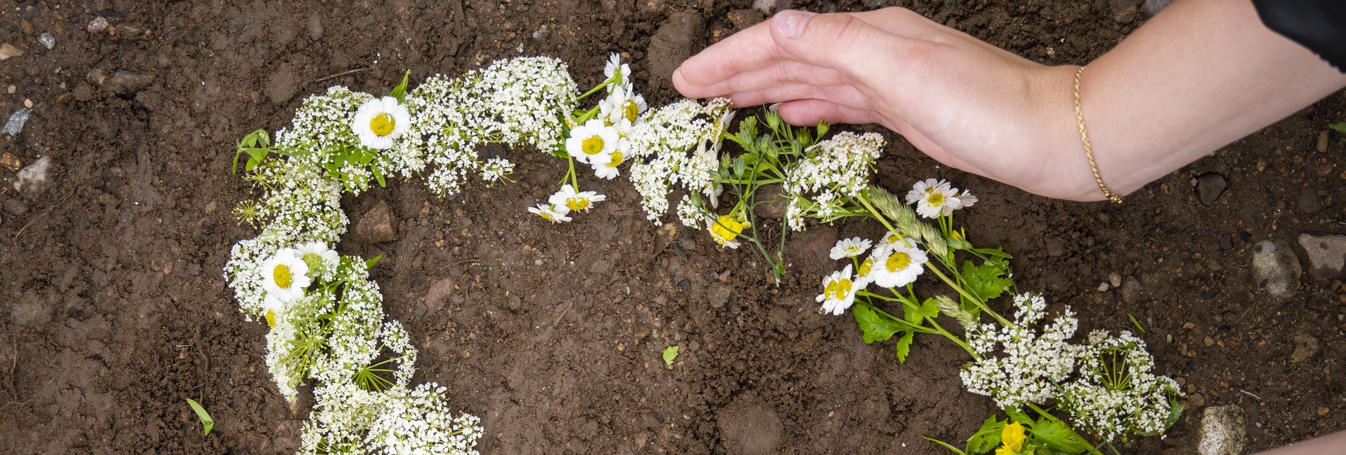 Blommor i form av ett hjärta på en jordig mark