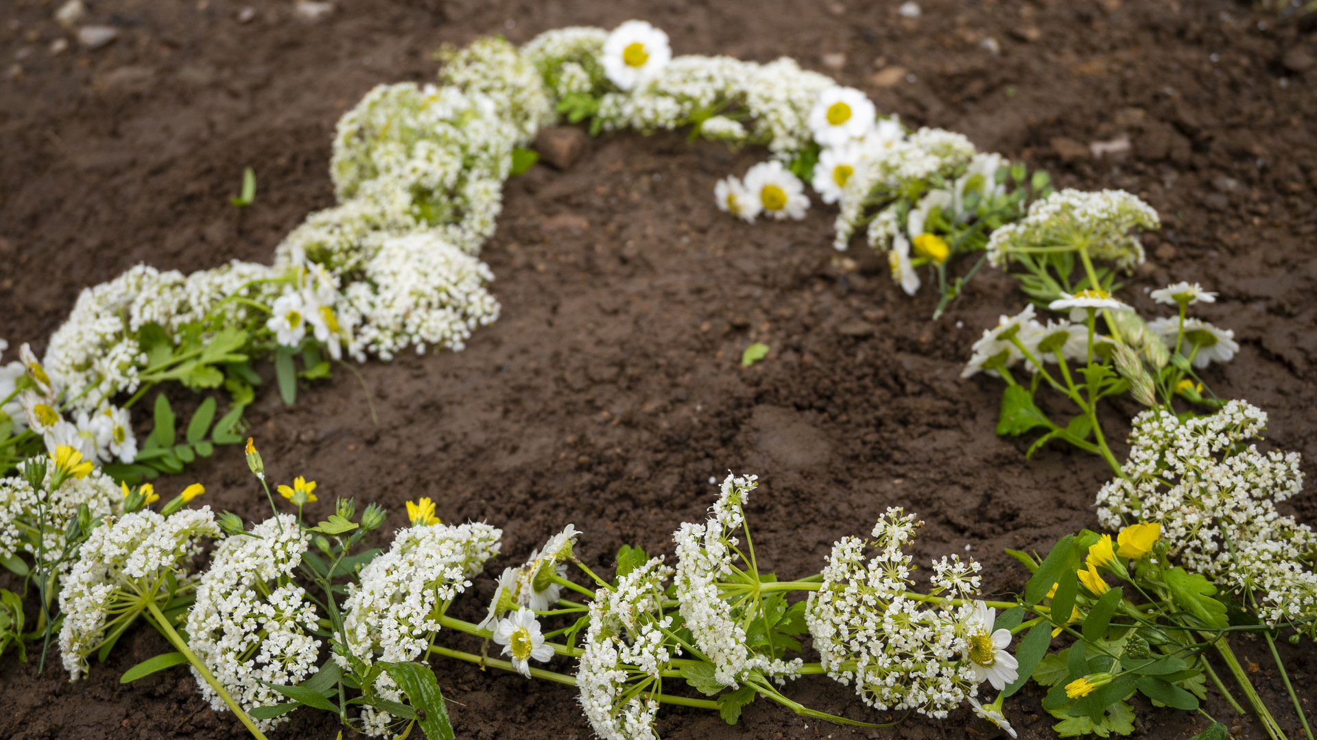 Blommor i form av ett hjärta på en jordig mark