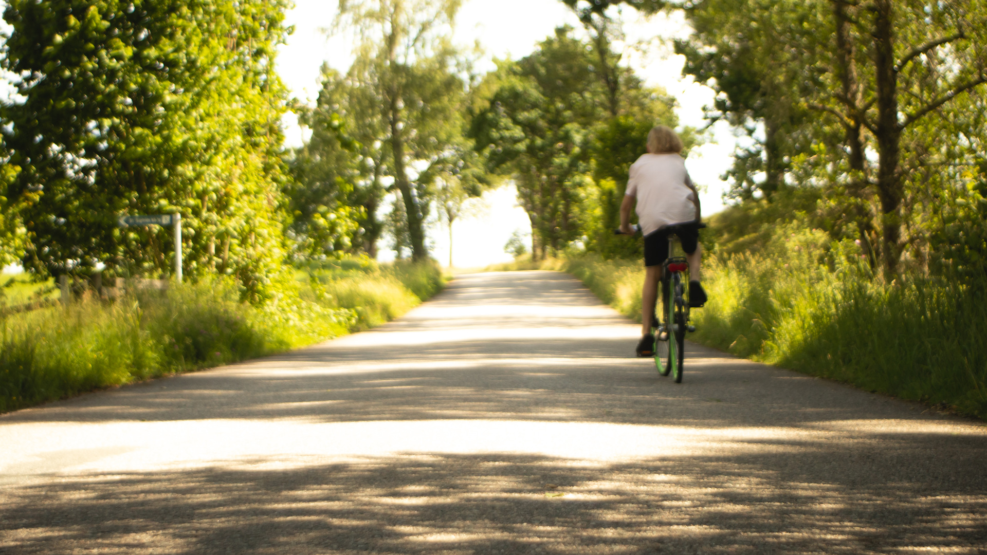 Cyklist cyklar på en asfaltsväg