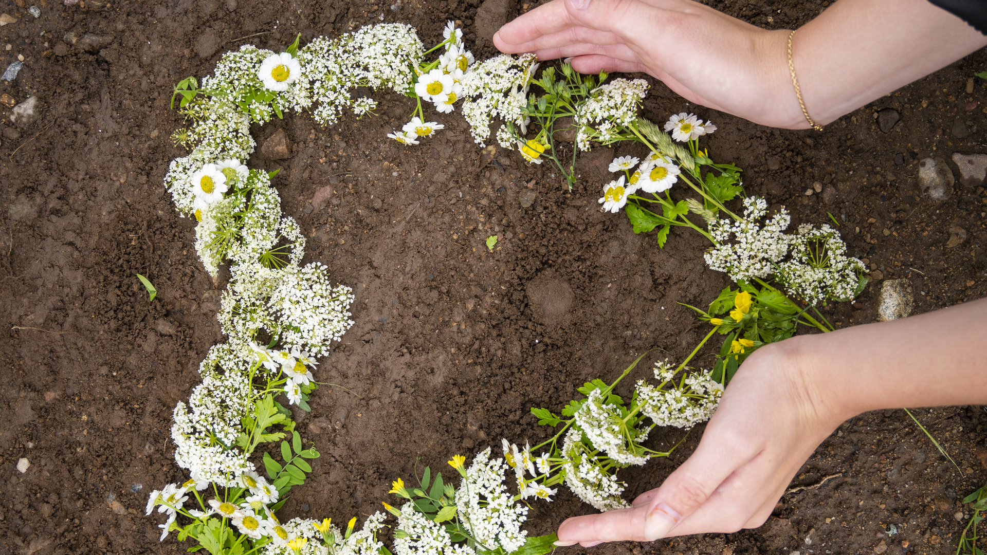 Blommor i form av ett hjärta på en jordig mark