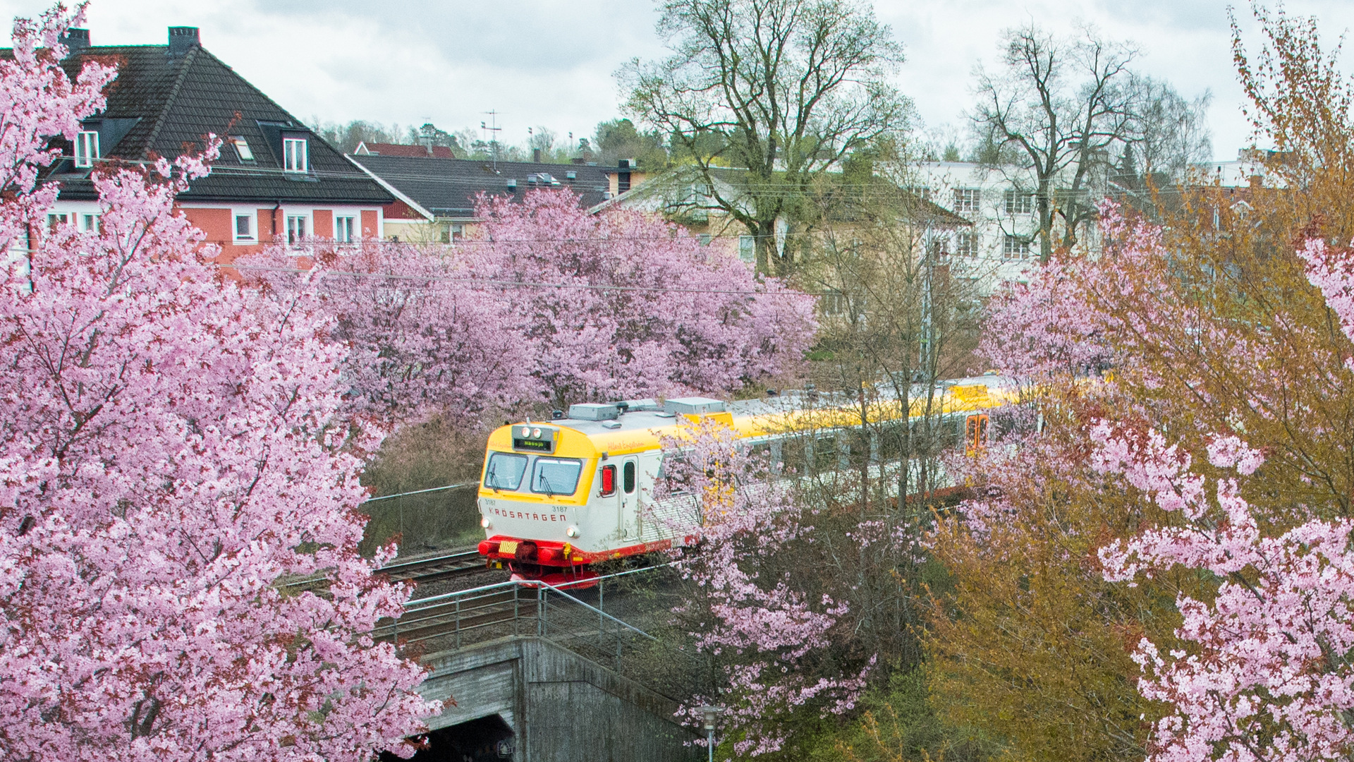 Krösatåg på rälsen i Sävsjö stad.