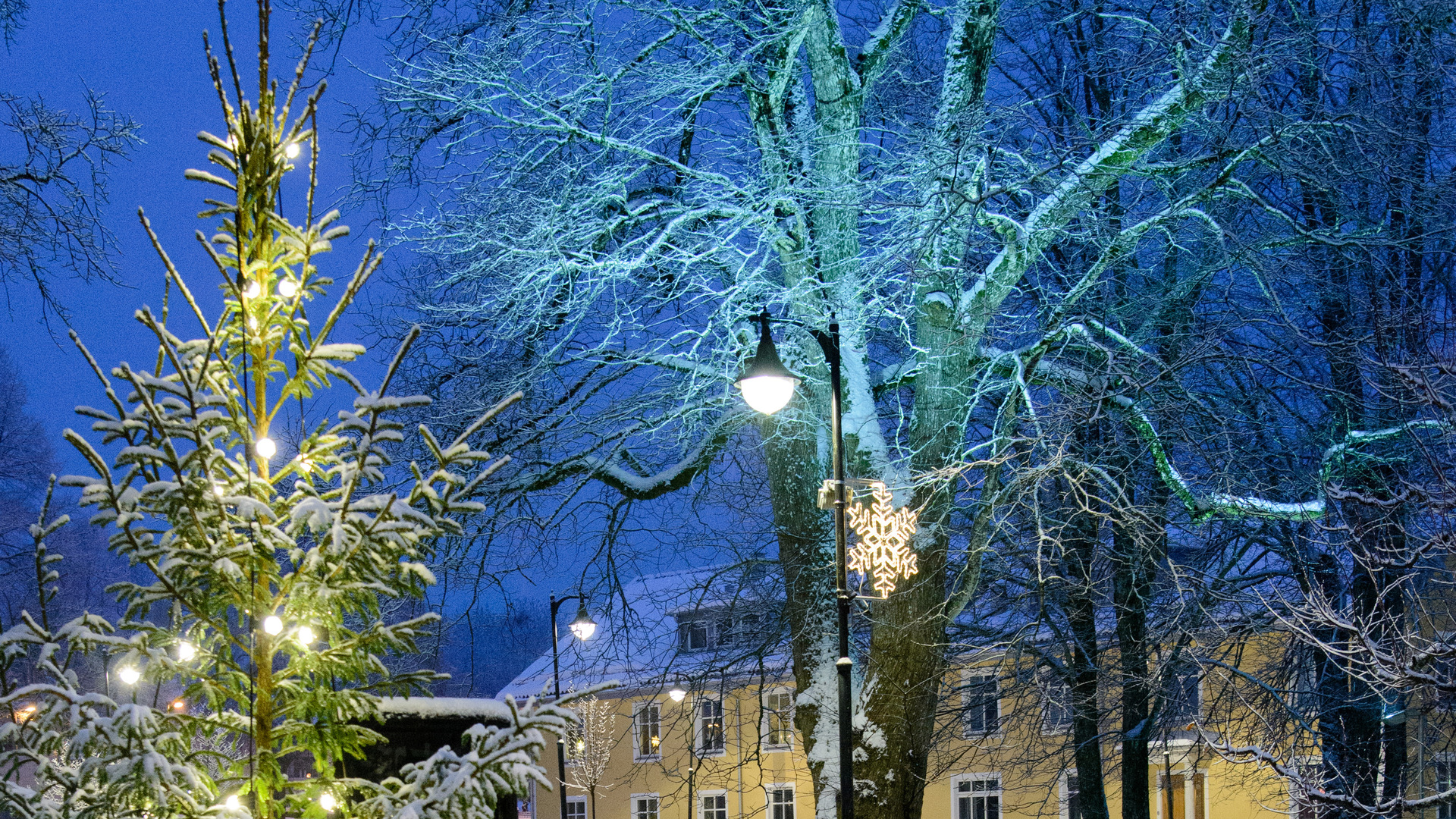 Julgran och julstjärna i gatumiljö