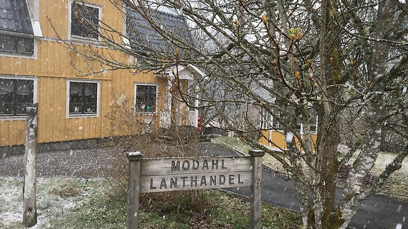 Modahl Lanthandel