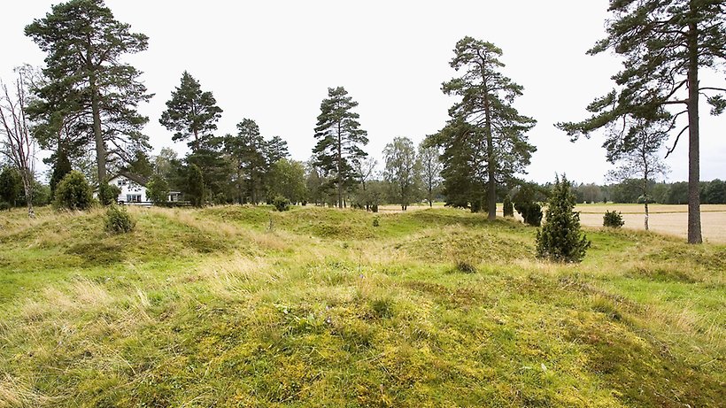 Gravfält