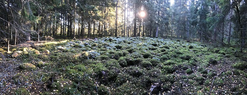 LONA-område på Sturevallen i Sävsjö